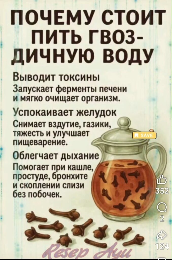 Почему стоит пить гвоздичную воду: забытый эликсир для современного здоровья